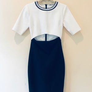 Elizabeth and James Kenya cutout Dress